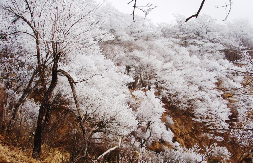 1���@�@�犄�R-���ۂ̔������̎��X