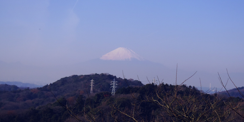 ���q�V���R�|�X����̕x�m�R