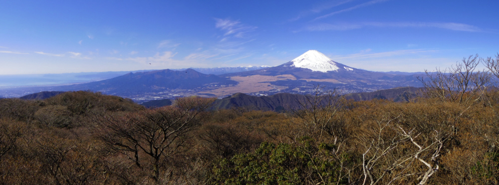 �_�R�R������̕x�m�R�@2014.1219