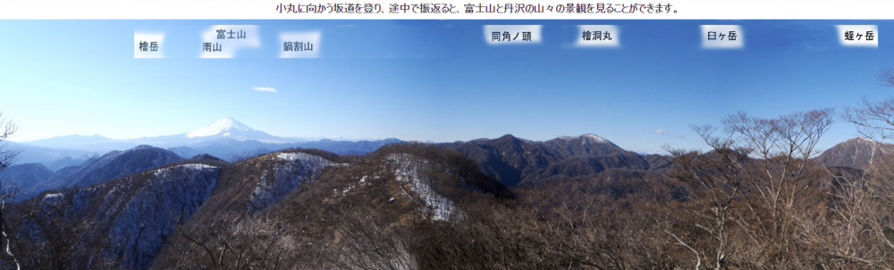 6���@�犄�R�|���ۂ̃u�i�т̔�������