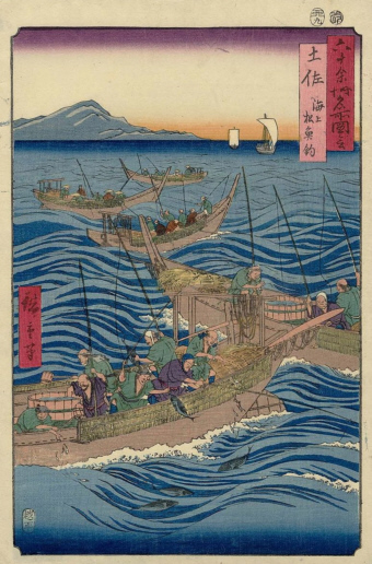 土佐海上松魚釣