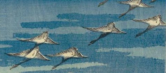 井豫　西條の部分