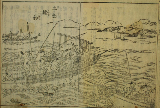 日本山海名産図会. 土州鰹釣　法橋関月 画図