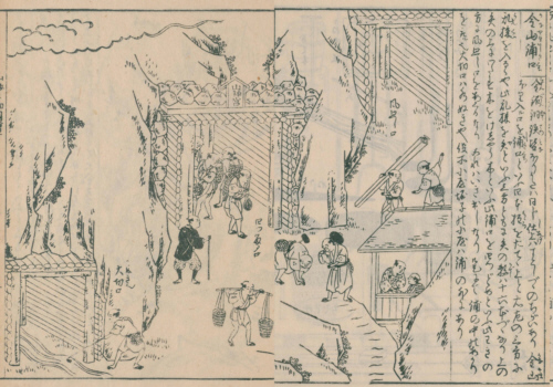 日本山海名物図会　金山浦口