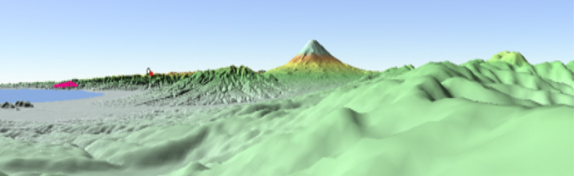 図14　　図13のカシバード画像を拡大して、横幅を55.2％圧縮した画像