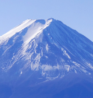 富士山の瞑想する犬