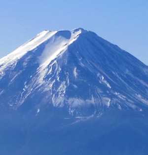 富士山の瞑想する犬