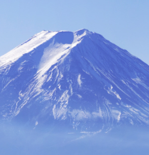 富士山の瞑想する犬