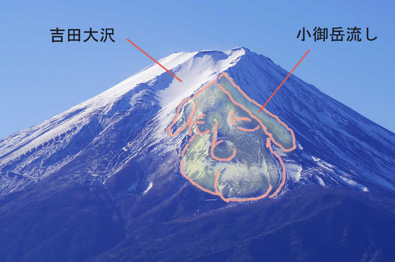 富士山中腹に眠る犬