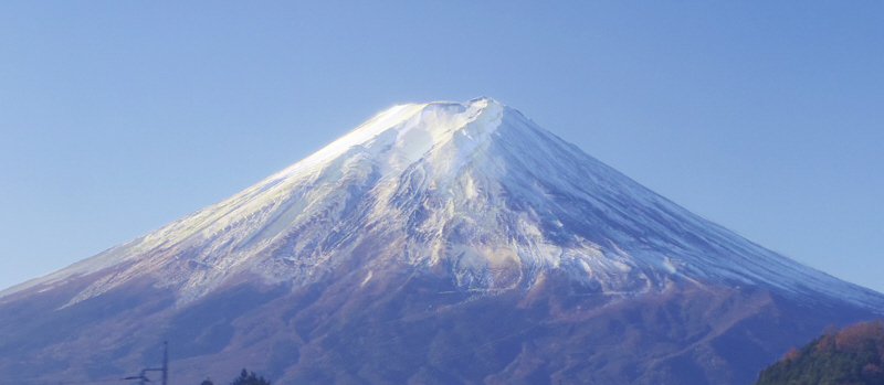富士山中腹に眠る犬 7:52