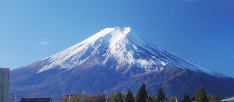 富士山中腹に眠る犬 8:05
