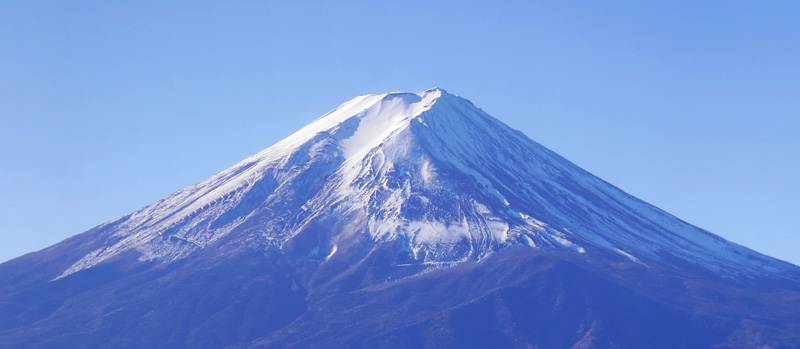 富士山中腹に眠る犬 9:19