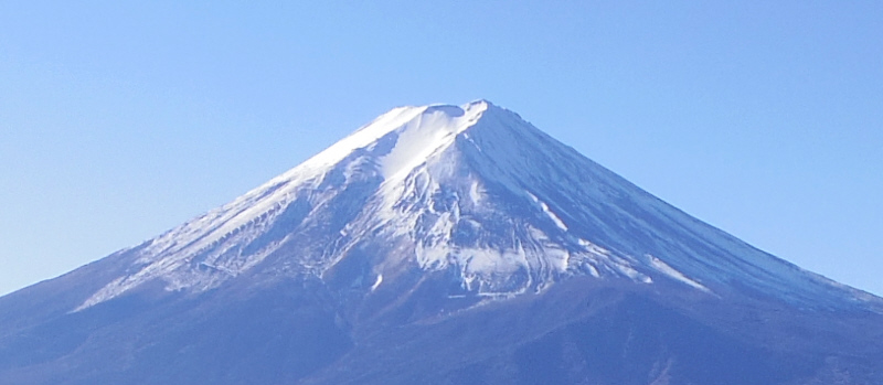 富士山中腹に眠る犬 9:41