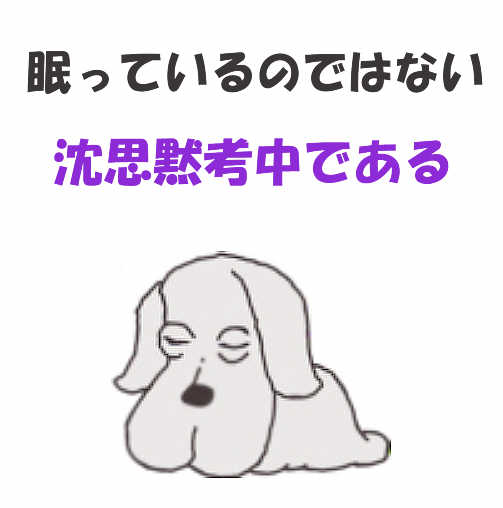 沈思黙考中の犬