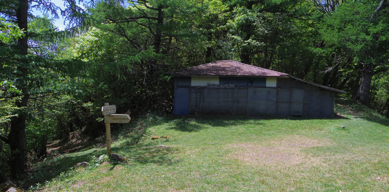 図１１　2015.5.17撮影