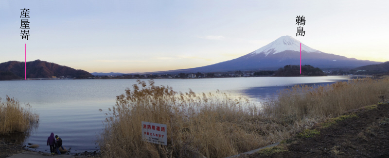 図１０a　河口湖から標高差2mの大石公園の河口湖の岸辺から