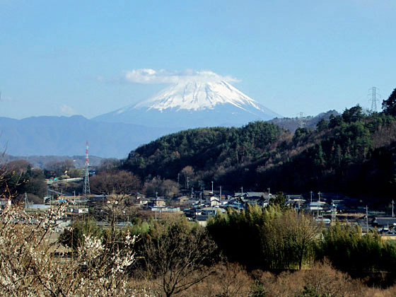 図４９　冨士見三景　花水坂からの富士