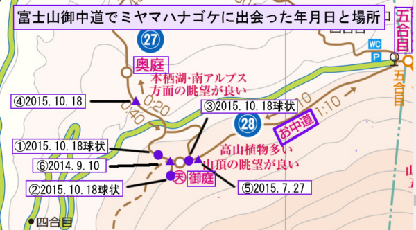富士山中腹で、ミヤコハナゴケに出会った年月日と場所