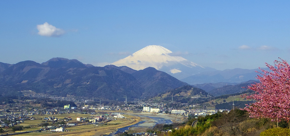 松田山からの富士山