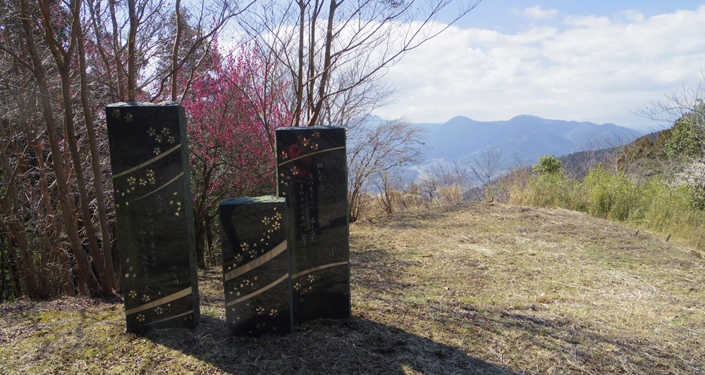 最明寺史跡公園の桜の石碑