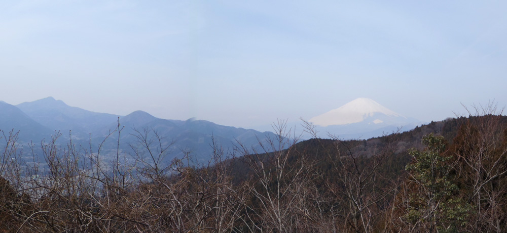 最明寺史跡公園桜の石碑からの富士山