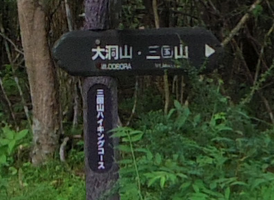 �O���R�n�C�L���O�R�[�X�̕\����