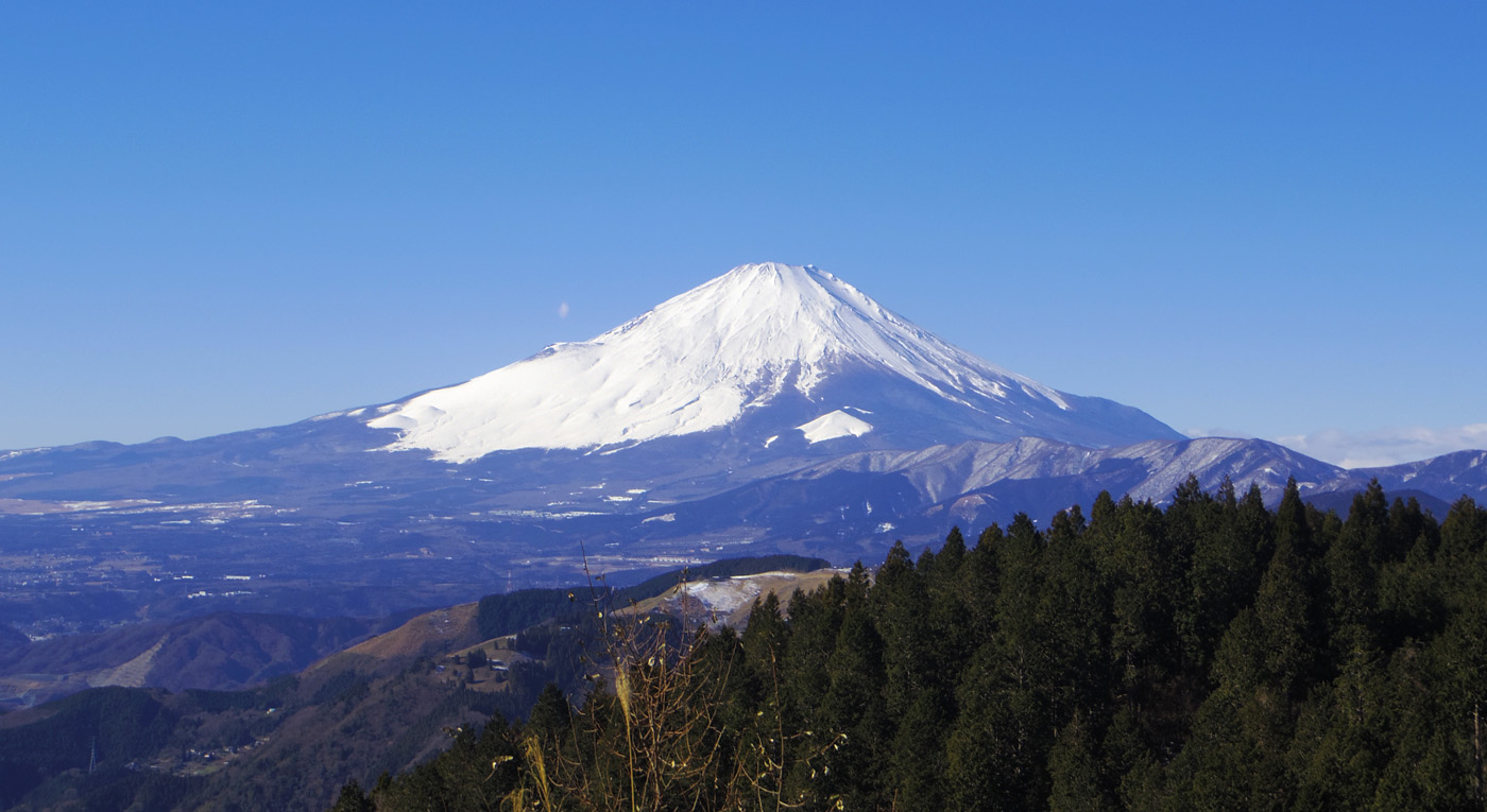 �@�����R�R������̕x�m�R