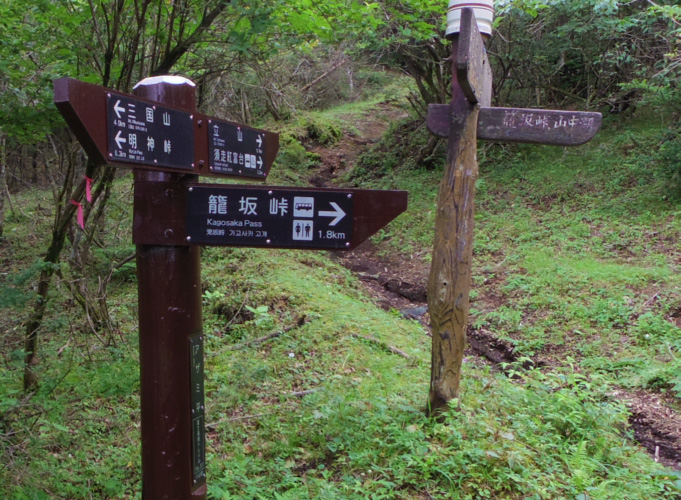 �O���R�ŃA�U�~���̕\����