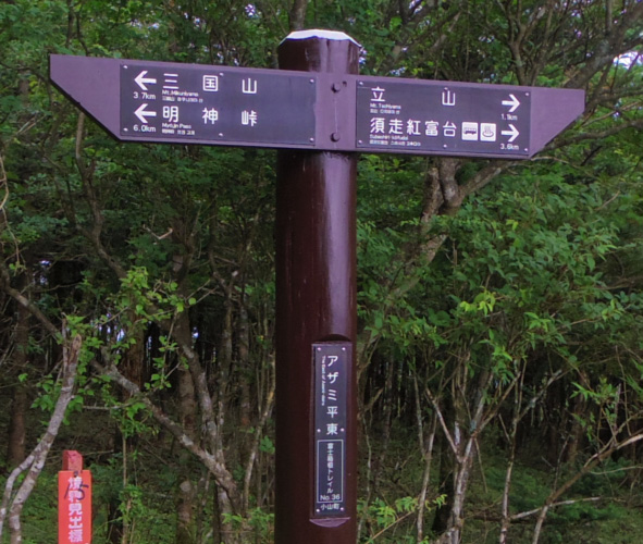 �O���R�ŃA�U�~�����̕\����