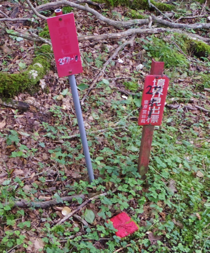 ���E���o�W