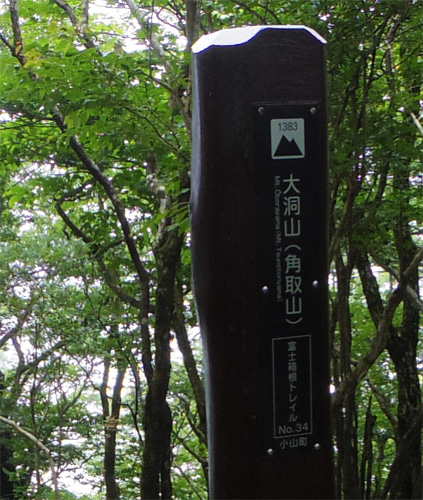 �O���R�ő哴�R�̕\����