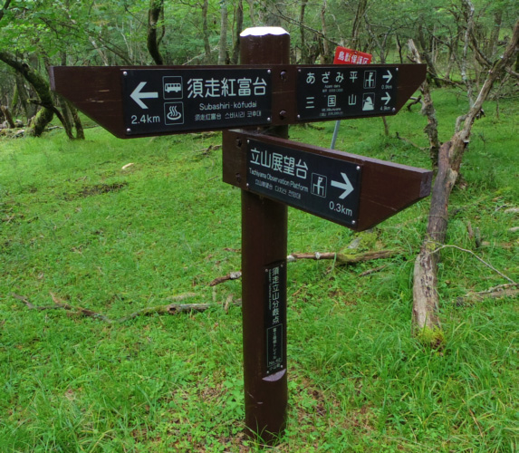 �O���R�Ő{�����R����_�̕\����