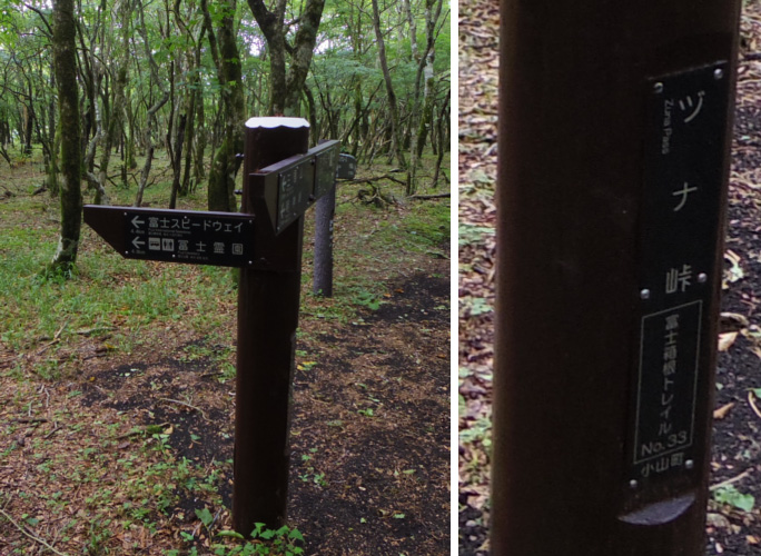 �O���R�Ńd�i���̕\����