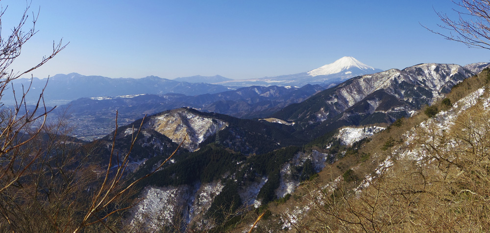 富士見台の右側から、枝葉を避けて撮影した富士山