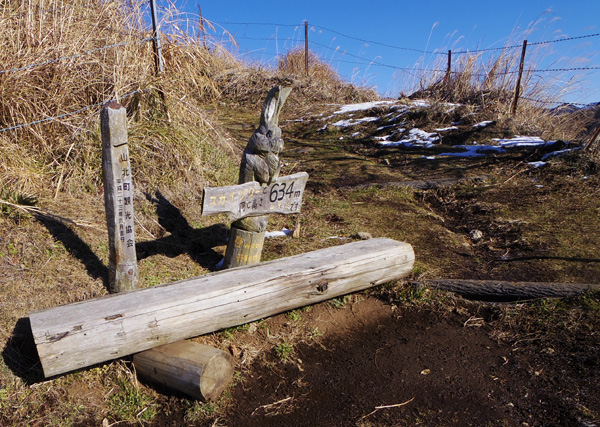 大野山634m地点