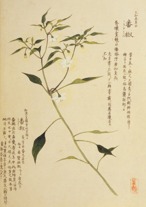 毛利梅園 (1798-1851年)梅園画譜