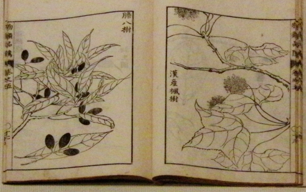 平賀源内　物類品隲