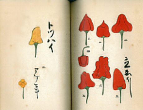 平賀源内（1728-1780年）　「蕃椒図」