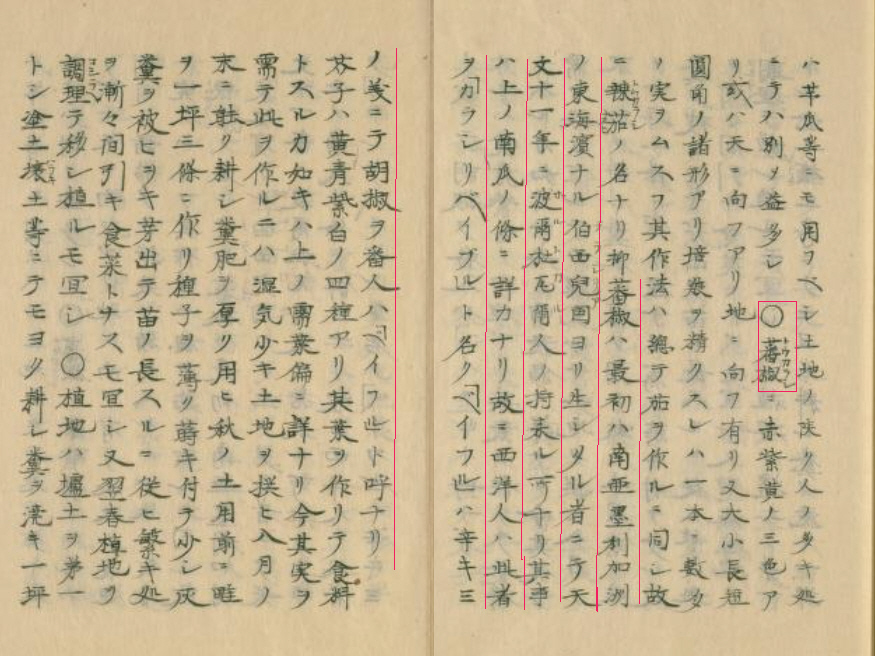 蕃椒（トウガラシ