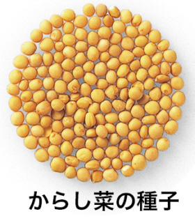 高濂 著　「雅尚斎遵生八牋」　　　万暦19[1591]序