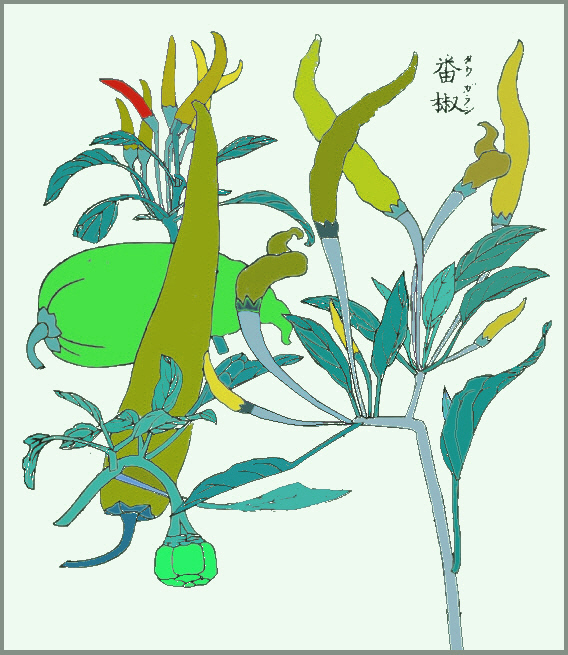 成形図説のトウガラシの彩色