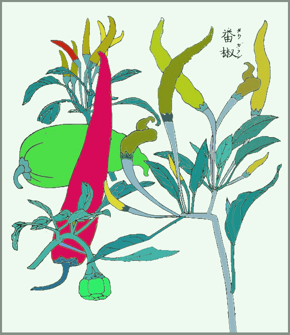 成形図説のトウガラシの彩色