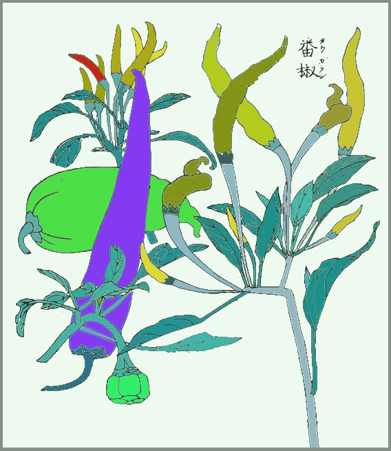 成形図説のトウガラシの彩色