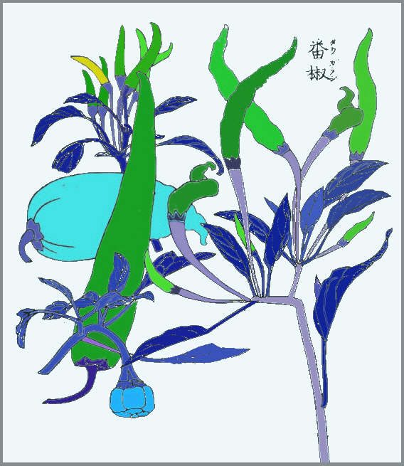 成形図説のトウガラシの彩色