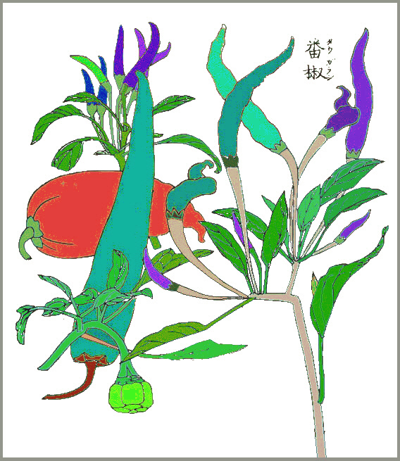 成形図説のトウガラシの彩色