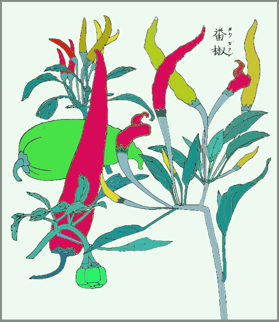 成形図説のトウガラシの彩色