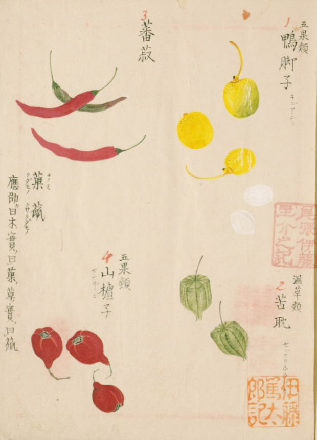 毛利梅園 (1798-1851年)梅園画譜