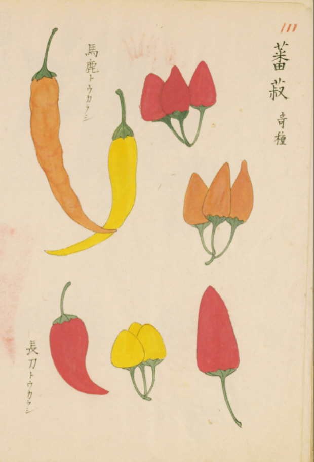 毛利梅園 (1798-1851年)梅園画譜