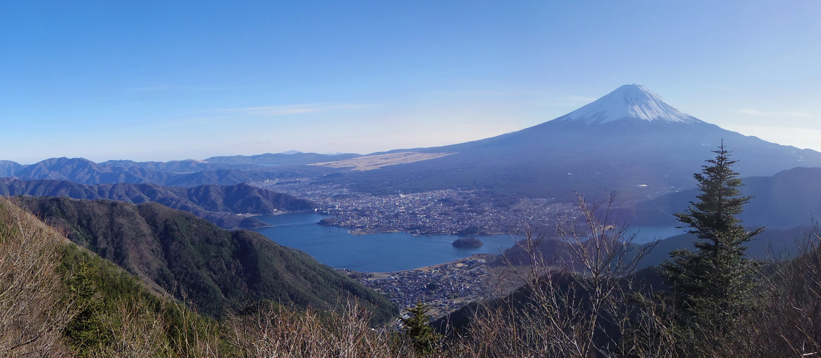 �V�������W�]�䂩��̕x�m�R