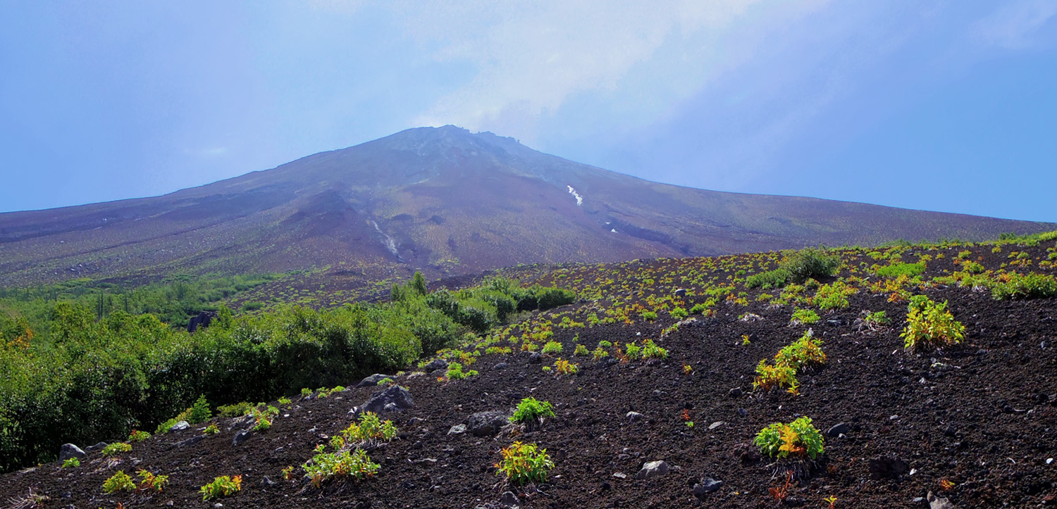 �䒆���@����x�`��납��̕x�m�R